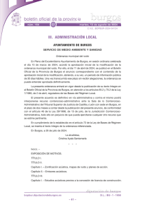 2024 BOP 13 agosto 2024 - Ordenanza municipal del Ruido .pdf