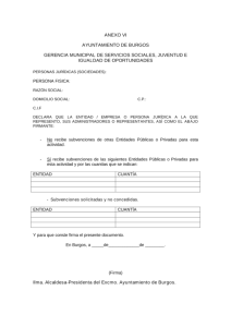 ANEXO VI.pdf