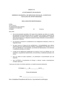 ANEXO VII.pdf