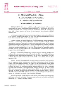 BOCyL n.º 210, 28 de octubre de 2024 BASES TAG (1).pdf