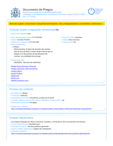 Documento de Pliegos.pdf