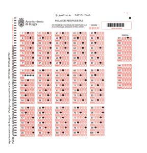Plantilla_definitiva.pdf