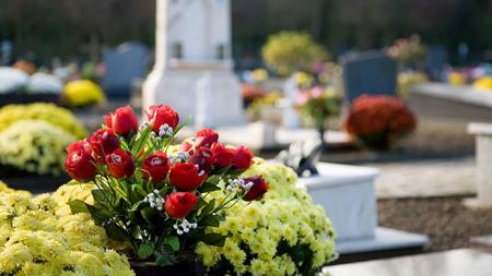 flores-tipicas-todos-los-santos-848x477x80xX (2).jpg