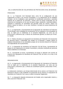 reglamento-agrupacion-ano-1999.pdf