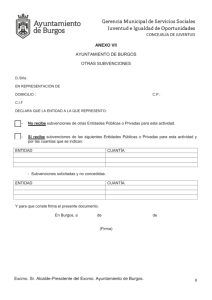 ANEXO VII-OTRAS SUBVENCIONES.pdf