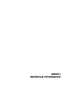 5-pe-anexos-f.pdf