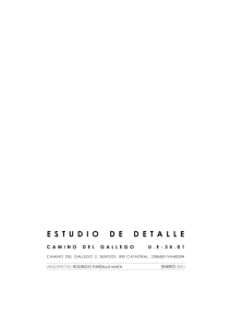 estudio-de-detalle-camino-del-gallego.pdf