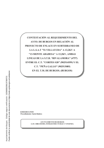 Doc.tecnica_06-02-2024.pdf