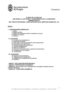 PLIEGO_4_2019_b_cme_com.pdf