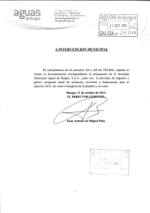 19-servicio-municipalizado-de-aguas-de-burgos-presupuesto.pdf
