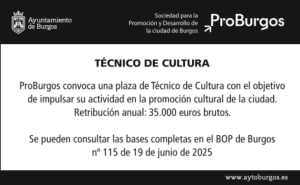 DB Técnico Cultura.pdf