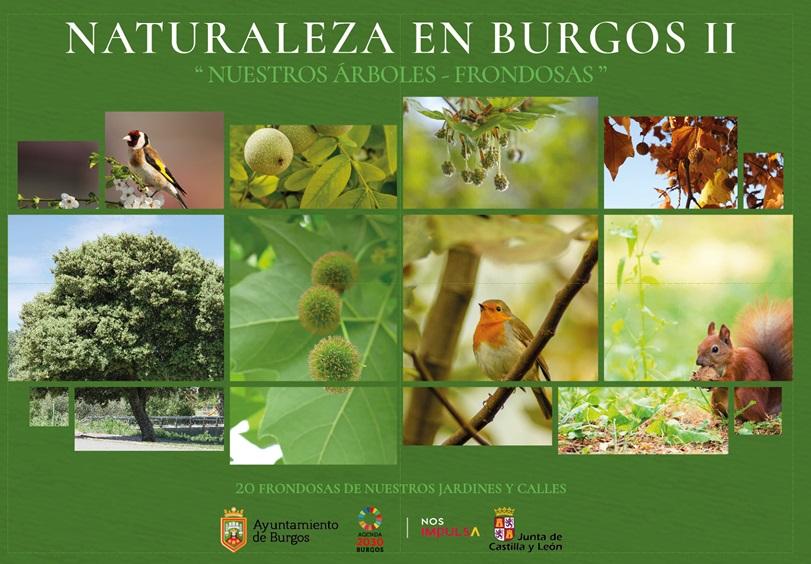 Imagen Nuestras frondosas I y II