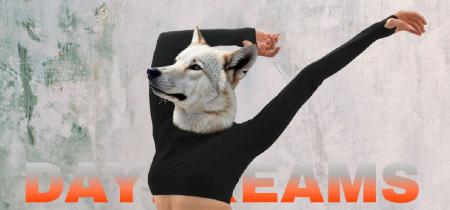 dAYdREAMS Ballet Contemporáneo de Burgos