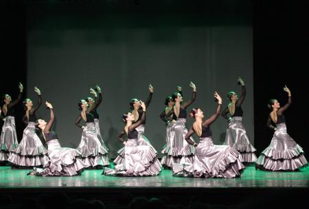 Danza. Compañía de Danza Expresión: "Raíces".