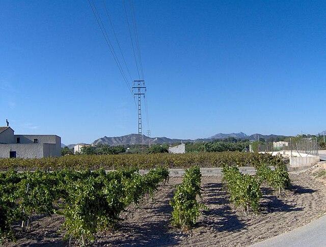 Imagen Convocatoria Huertos de Ocio 26-27