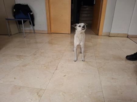 Imagen 5833 - Cruce bodeguero