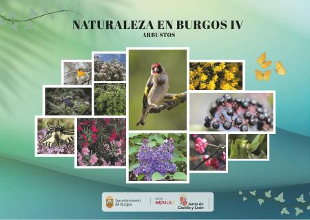 Image NATURALEZA EN BURGOS - Arbustos