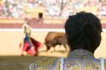TOROS