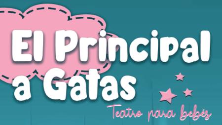 EL PRINCIPAL A GATAS