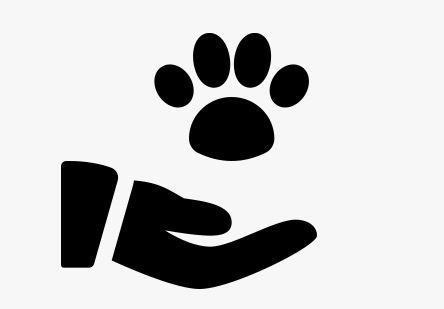 Image Animales en adopción