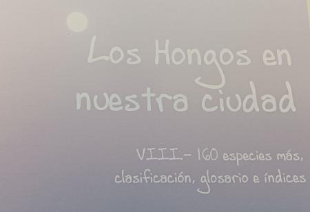 Image Los Hongos en nuestra ciudad VIII