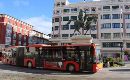 Imagen AUTOBUSES CURPILLOS